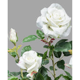 Fehér színű, élethű megjelenésű, mű rózsabokor, fekete műanyag cserépben.